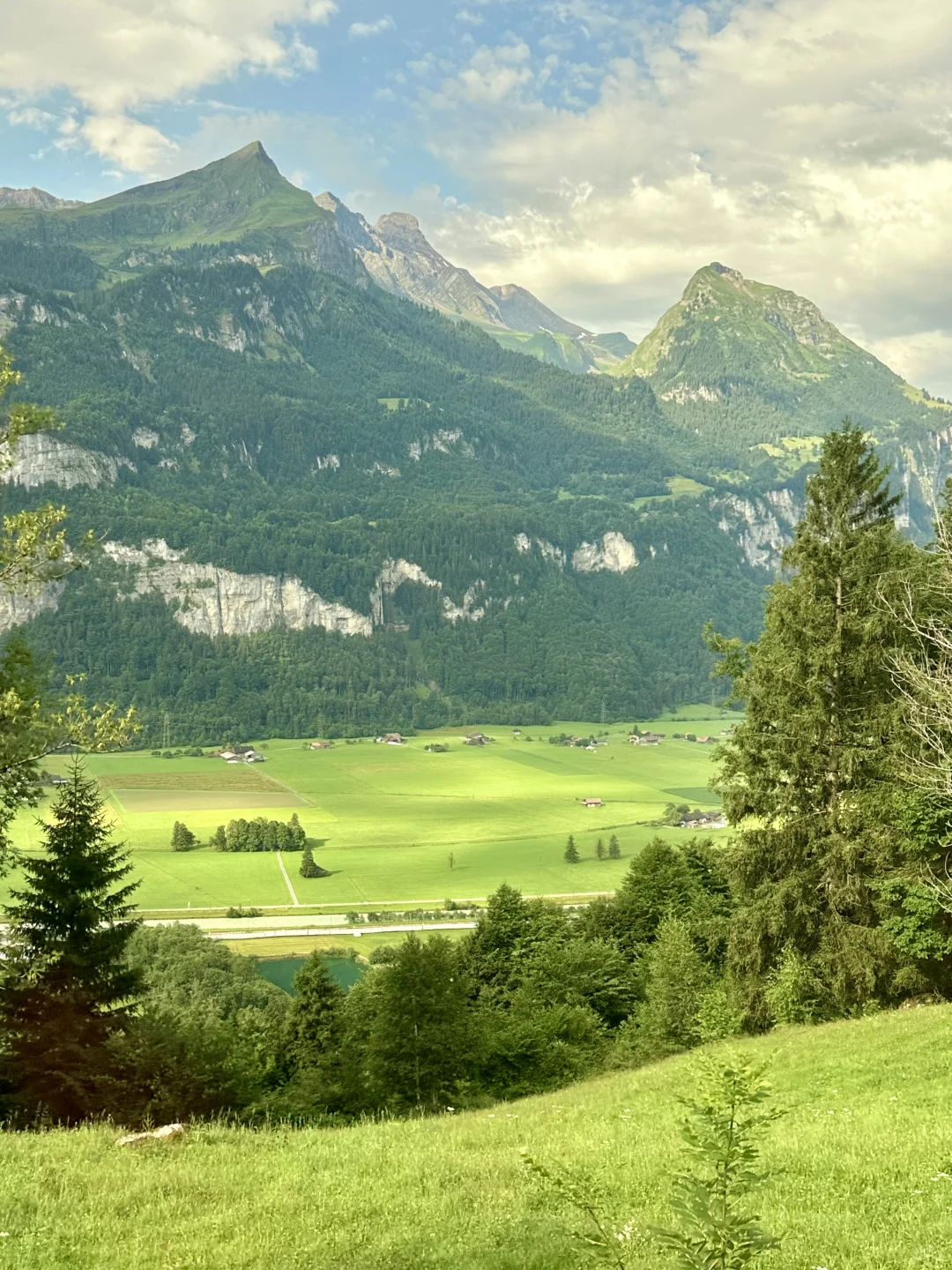 瑞士是一个巨大的能量场🌿🦋💫❤️