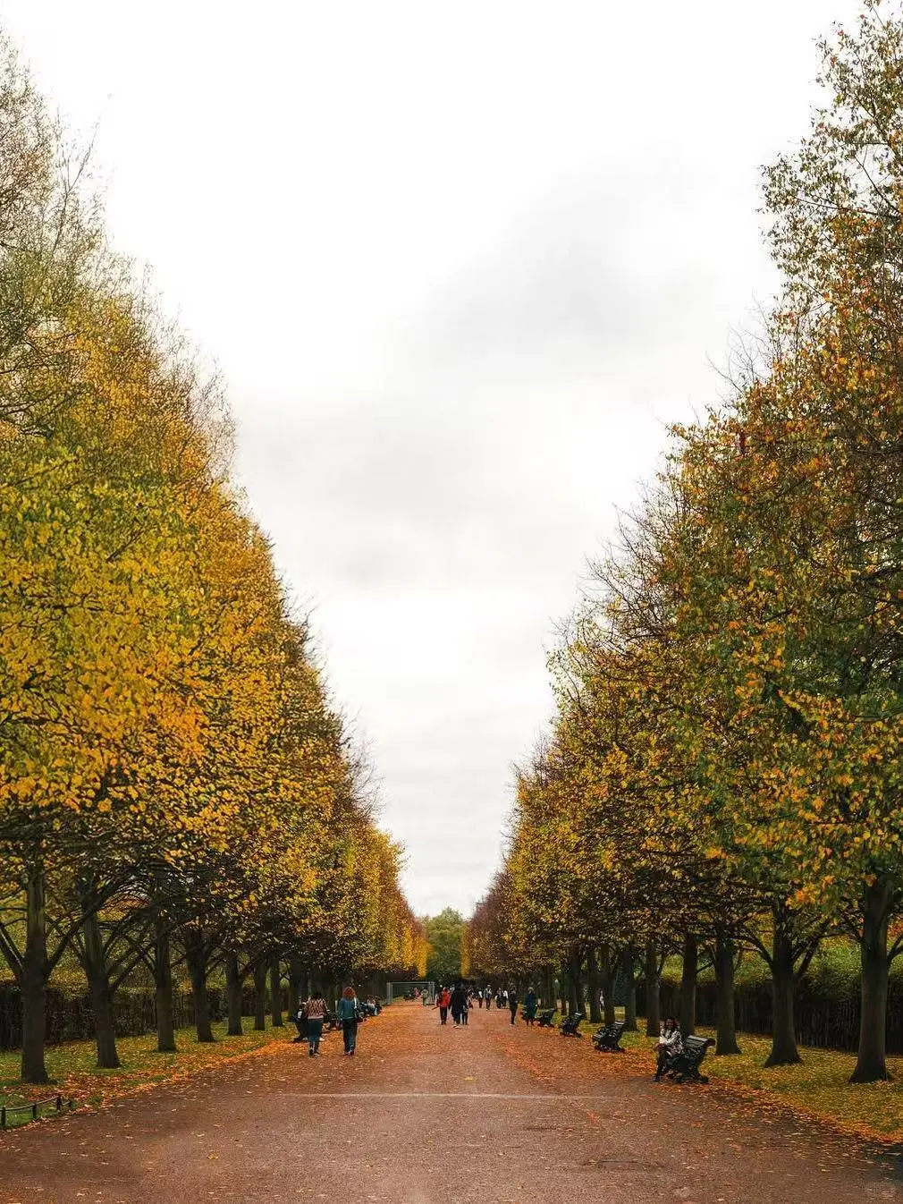 都说英国美在乡下,但伦敦的秋天,意料外惊喜