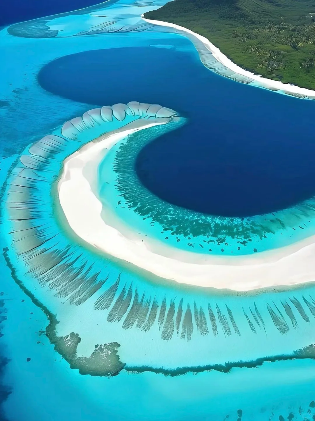 🇳🇿南半球这个免签小国，太适合去旅居了😇