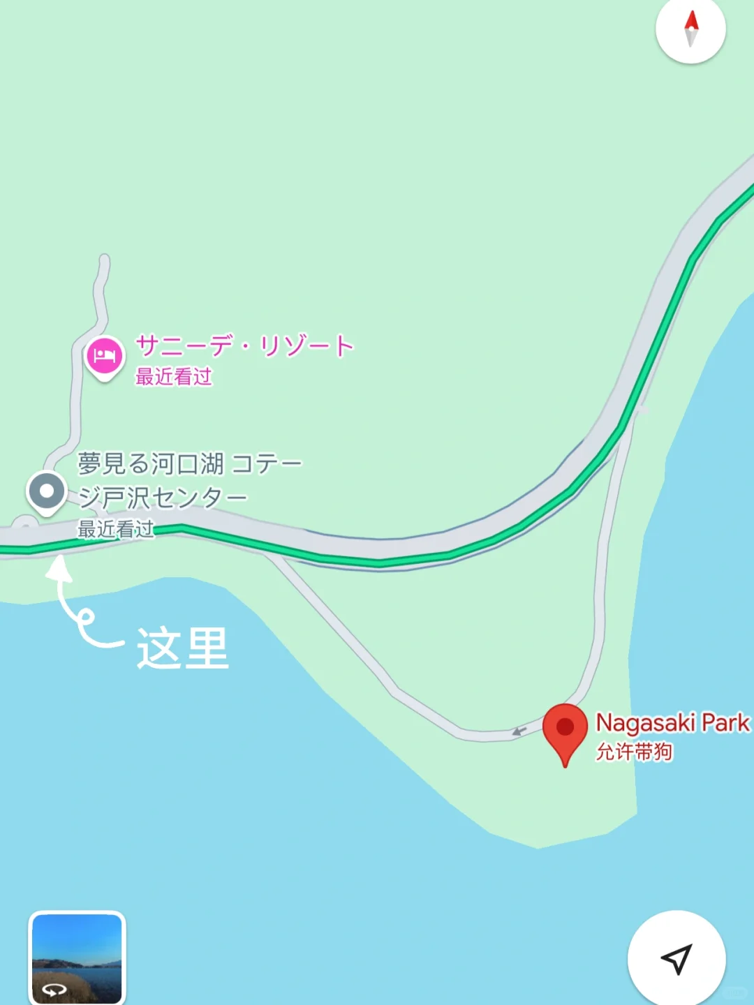 日本｜富士山樱花富豪🌸芦苇荡绝景长崎公园