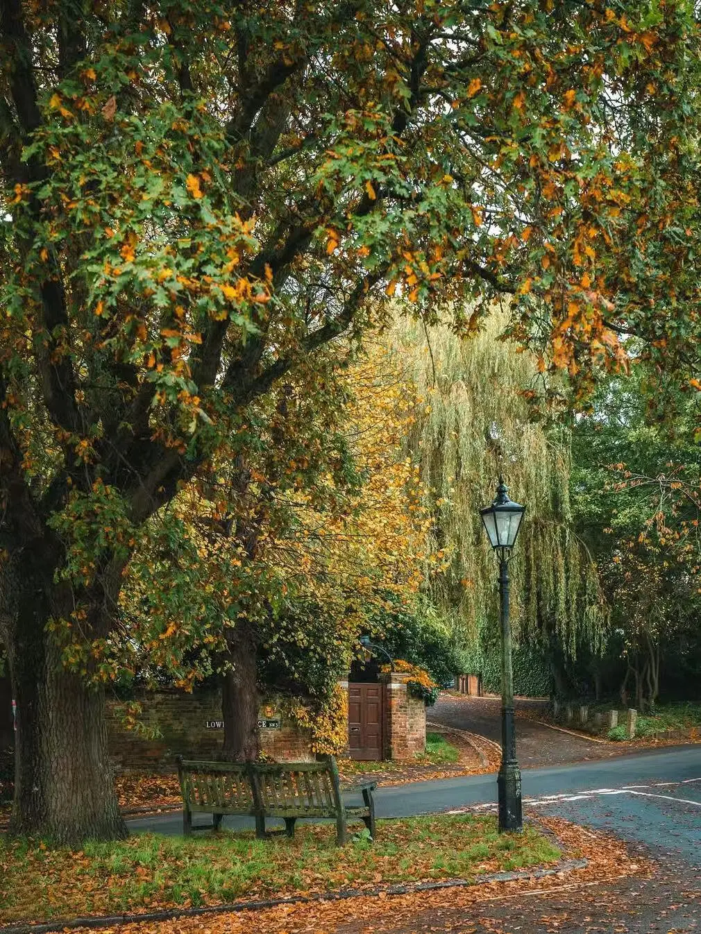 都说英国美在乡下,但伦敦的秋天,意料外惊喜