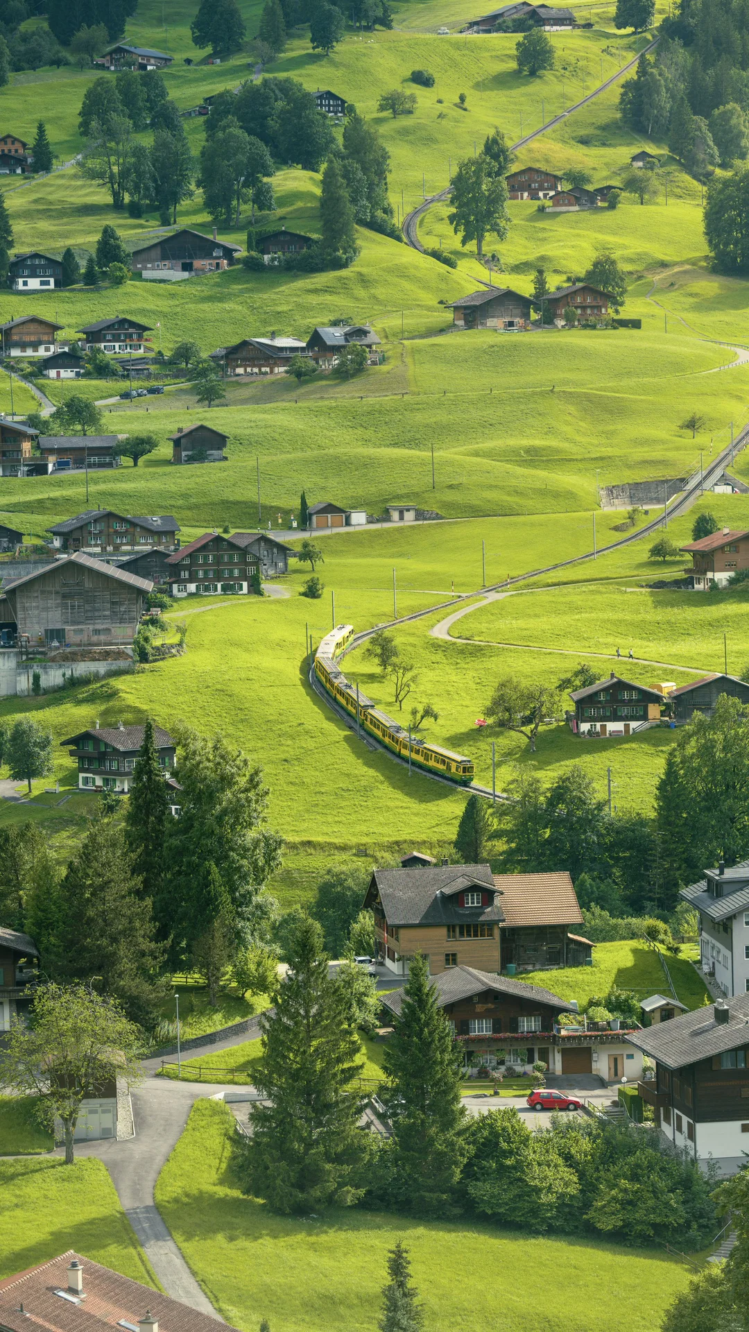 当你用全屏图片打开瑞士🇨🇭