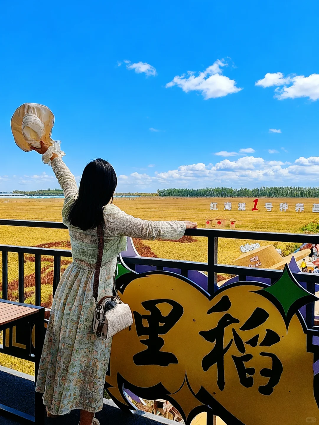 国庆遛娃挖到宝！49.9玩疯稻田农场‼️