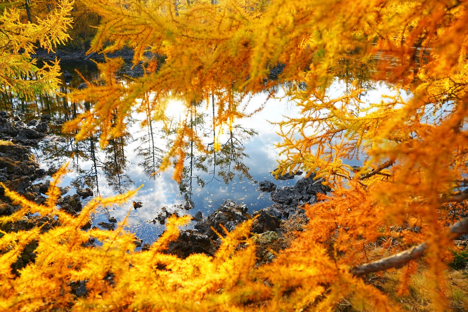 阿尔山付费景区超全攻略，每个景点都有附图