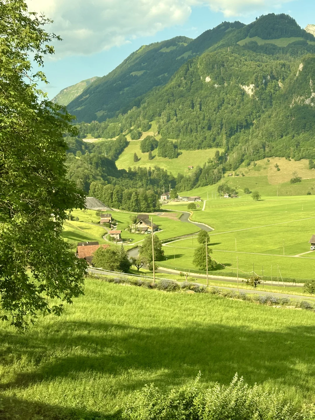 瑞士是一个巨大的能量场🌿🦋💫❤️