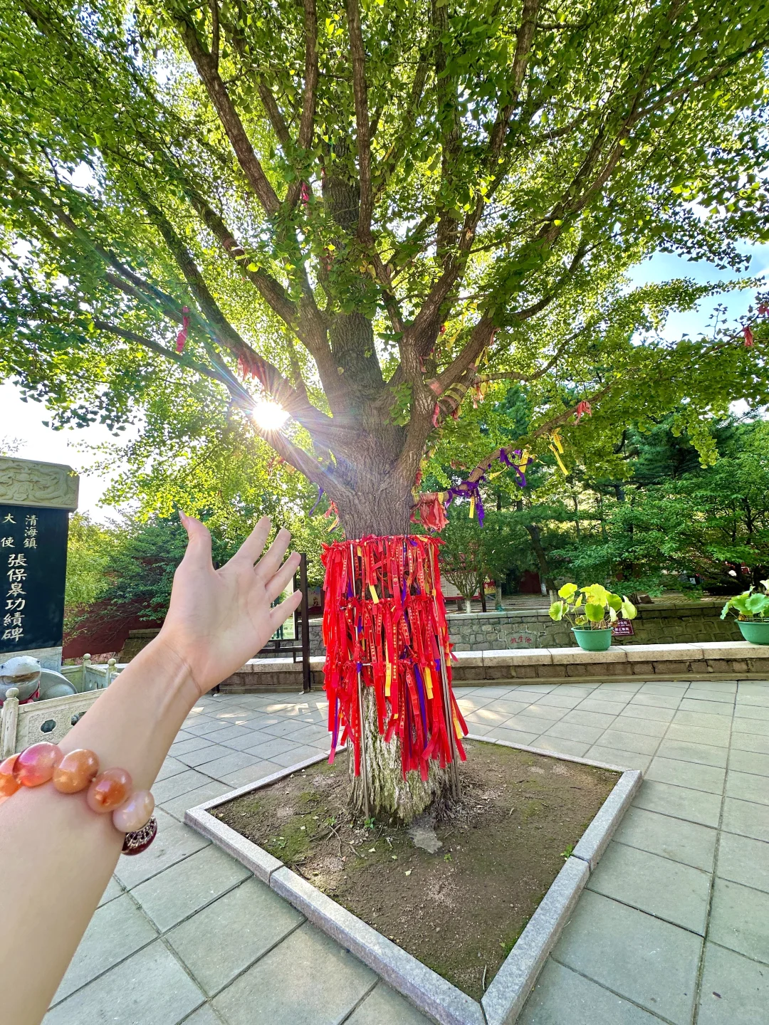 威海初秋一些能量场很足的地方（合集）