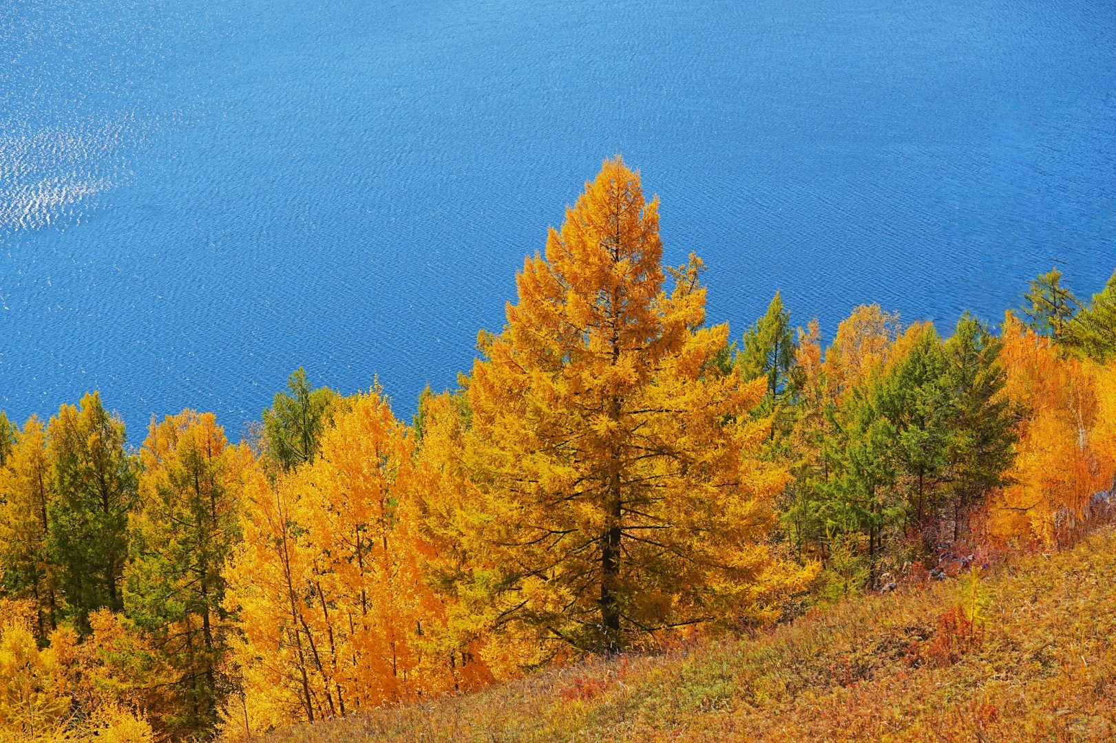 阿尔山付费景区超全攻略，每个景点都有附图