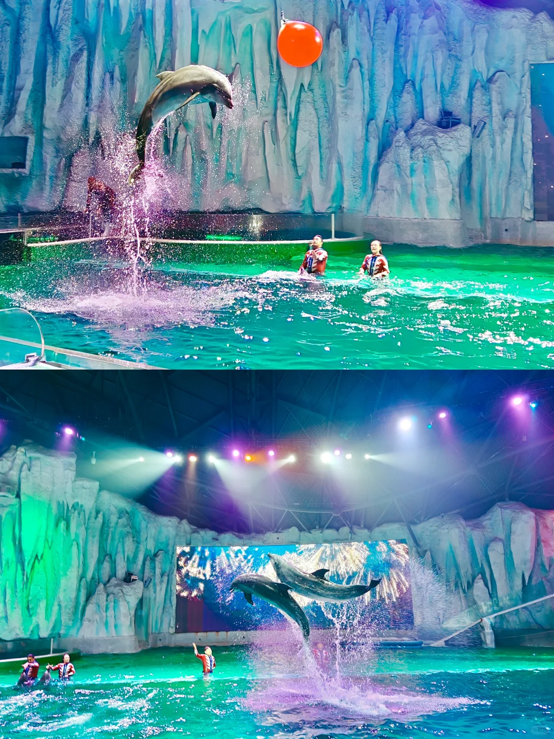 南方小土豆速码！哈尔滨5天冬游嗨玩攻略✨