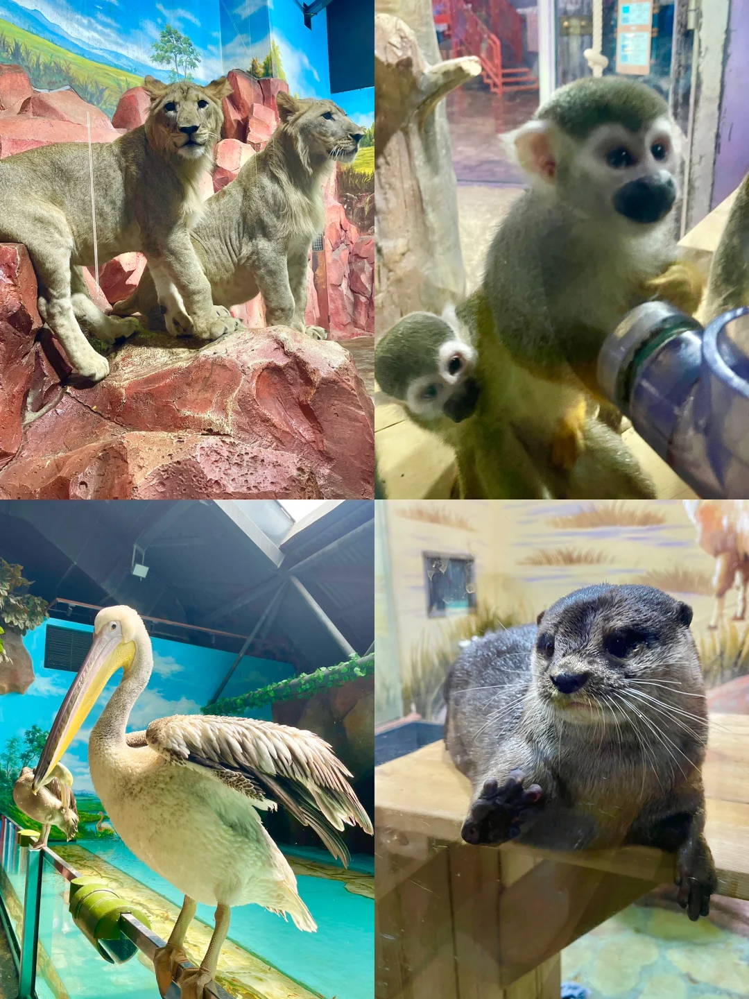 南方小土豆速码！哈尔滨5天冬游嗨玩攻略✨