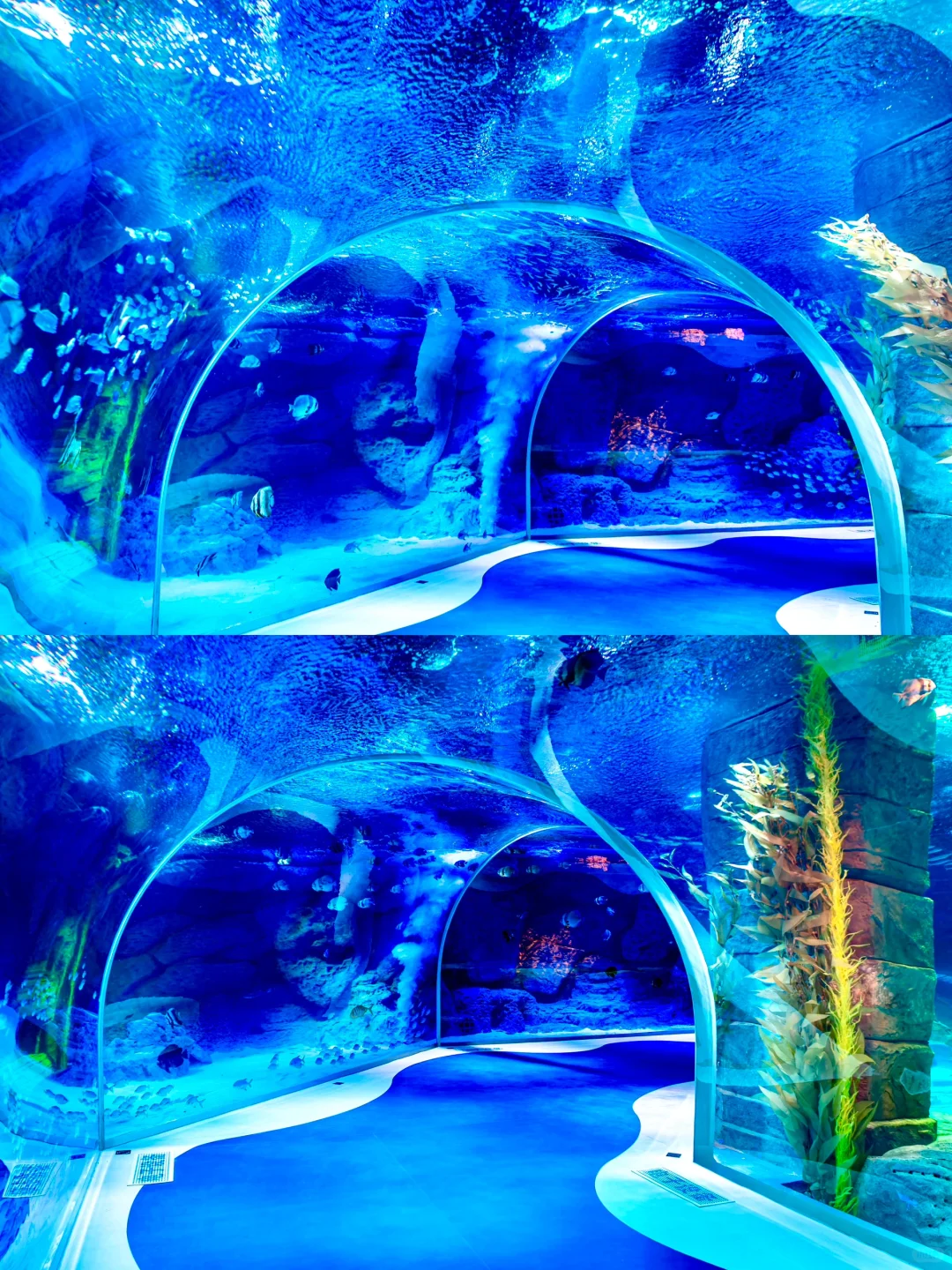 南方小土豆速码！哈尔滨5天冬游嗨玩攻略✨