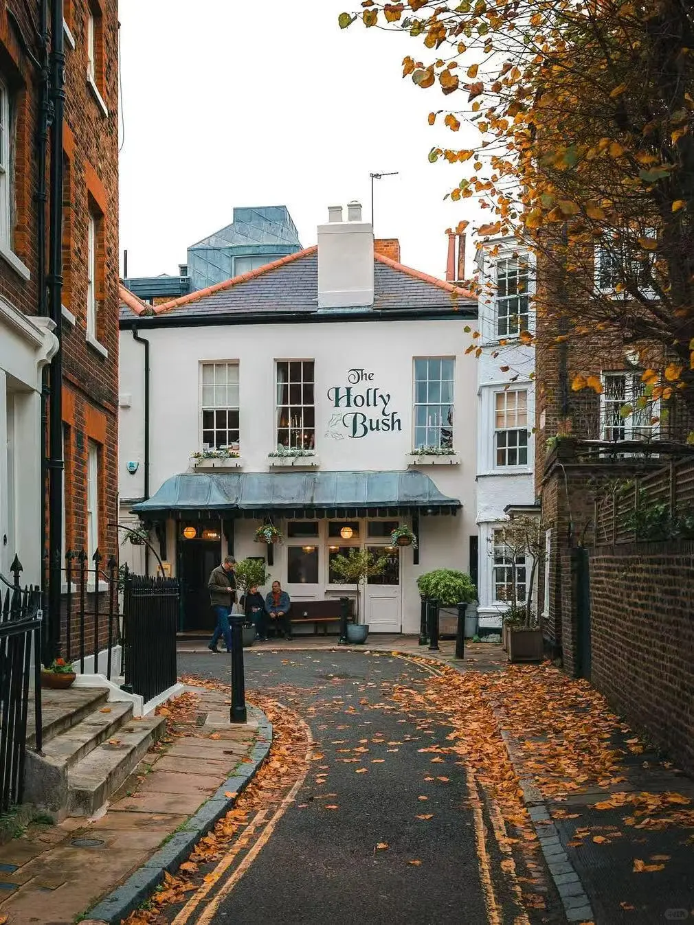 都说英国美在乡下,但伦敦的秋天,意料外惊喜