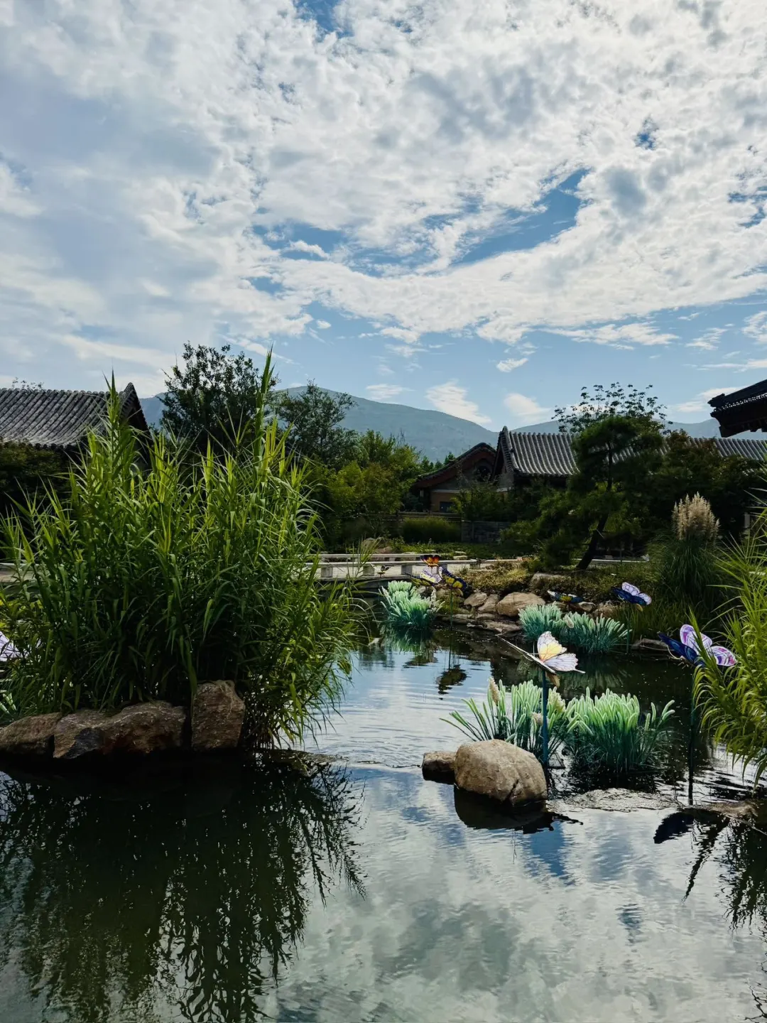 绝对是被山东低估的宝藏景区！好美！