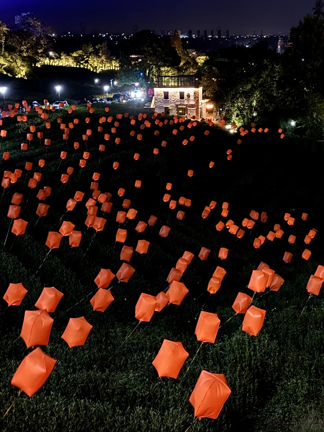 十一国庆去哪玩⁉️海盐丰义景区❗️❗️❗️