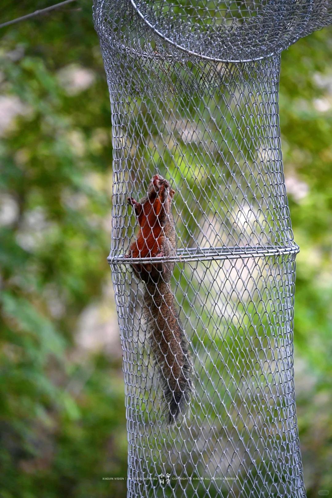 已经彻底玩疯了!本地人私藏的山野冒险场