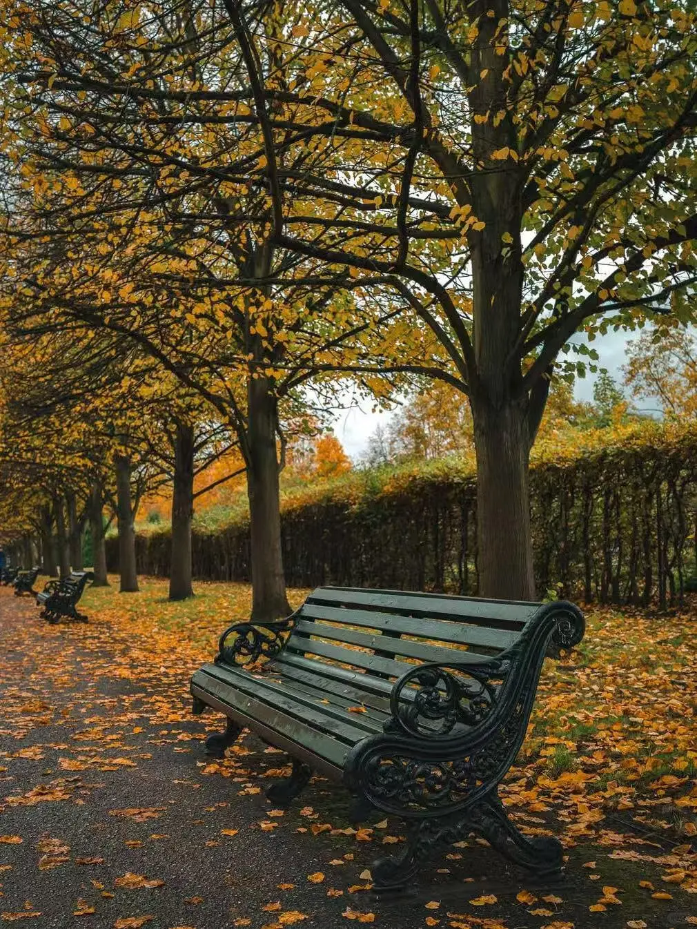 都说英国美在乡下,但伦敦的秋天,意料外惊喜