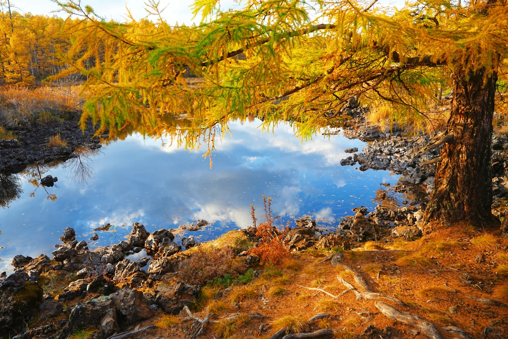 阿尔山付费景区超全攻略，每个景点都有附图