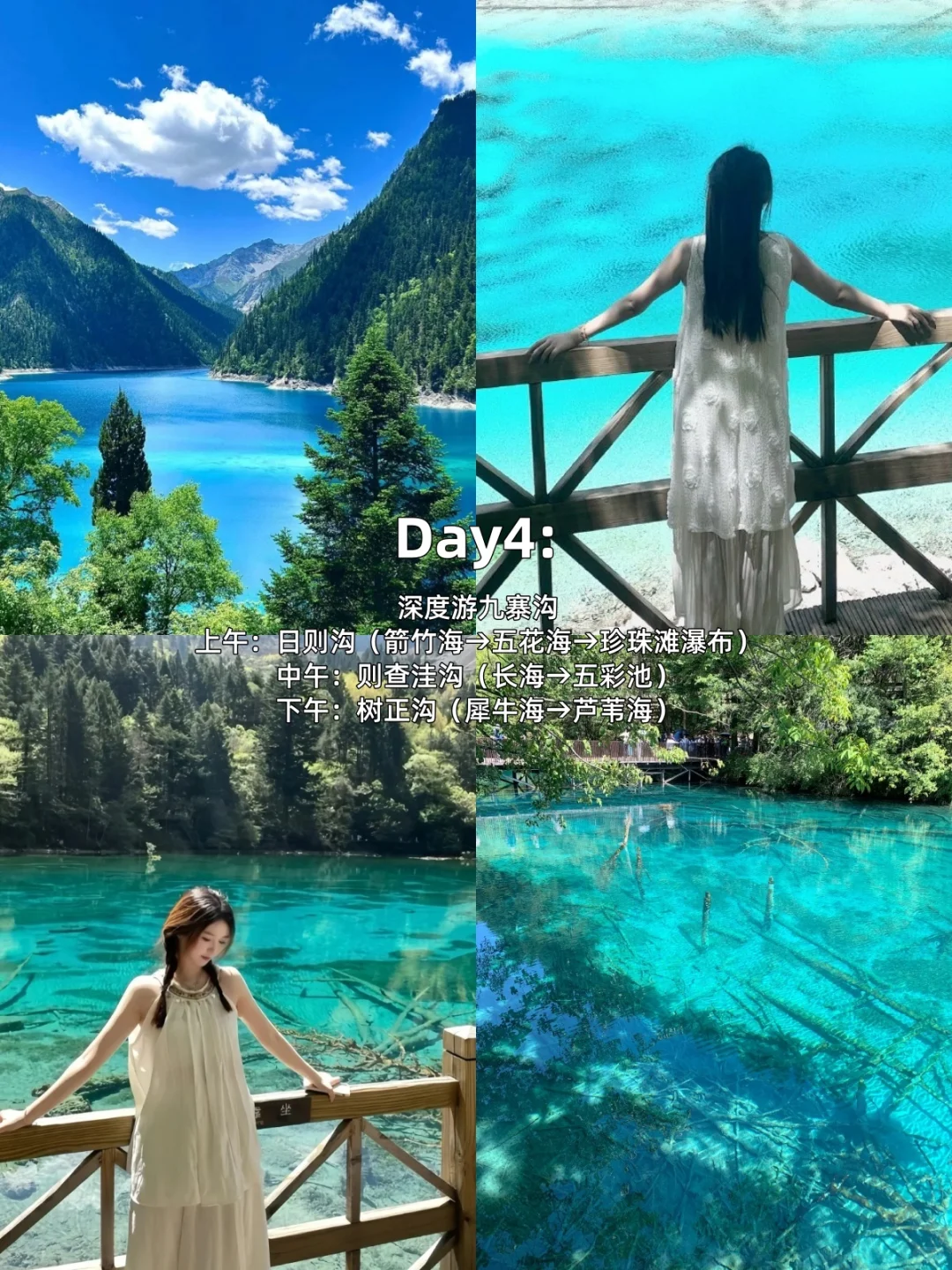 📍成都九寨沟重庆七天包车🚗自由行全攻略