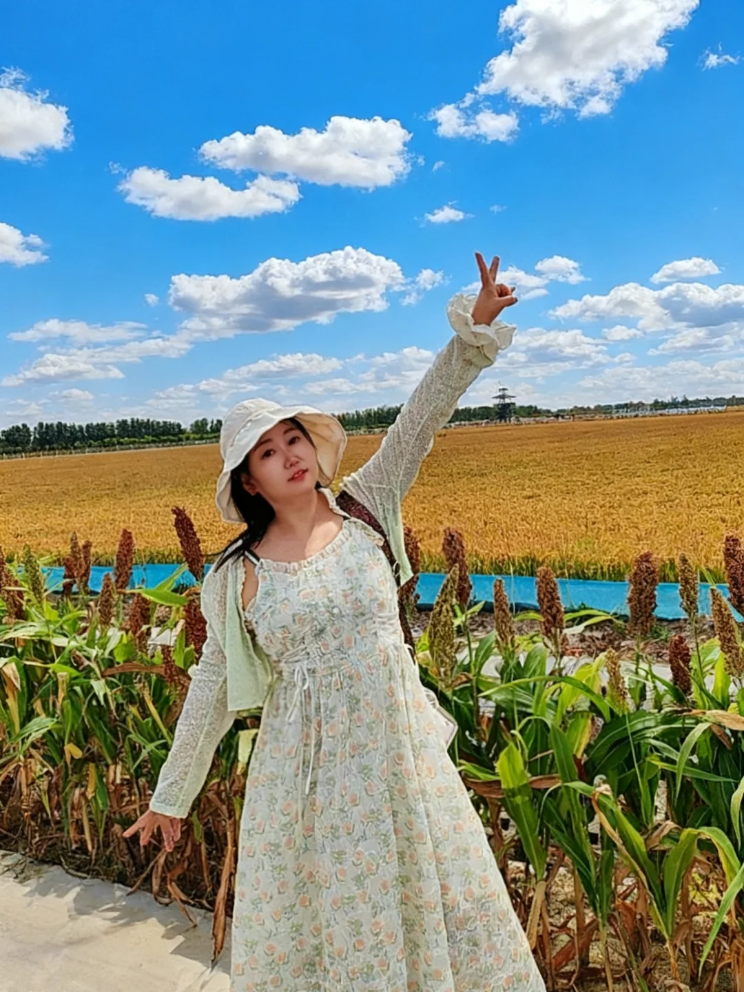 国庆遛娃挖到宝！49.9玩疯稻田农场‼️