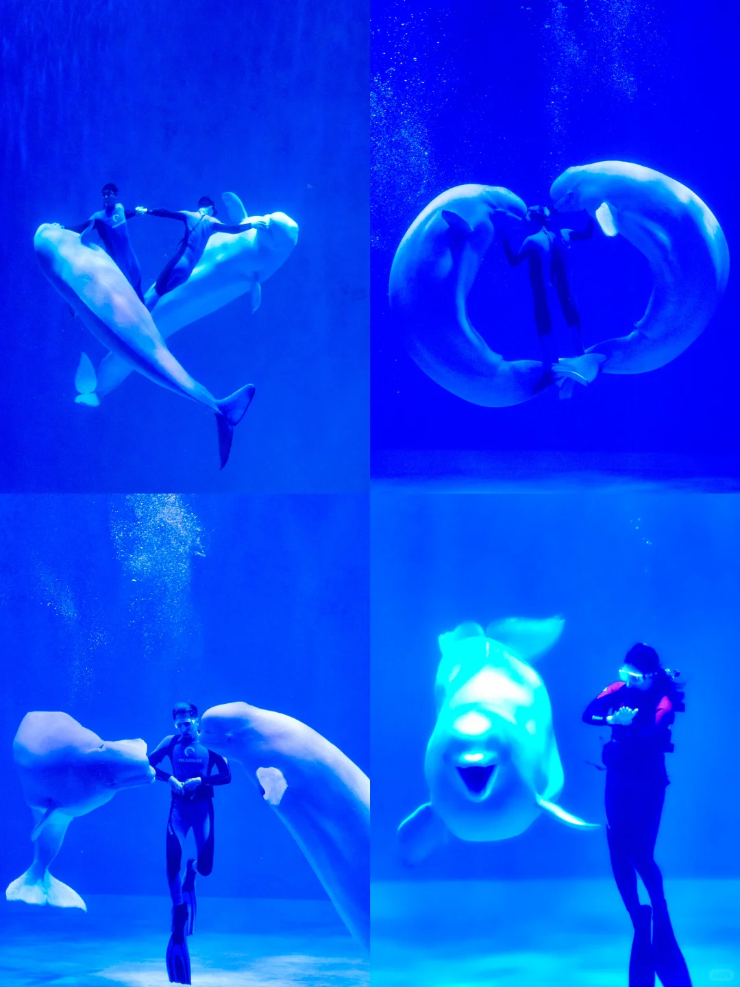 南方小土豆速码！哈尔滨5天冬游嗨玩攻略✨