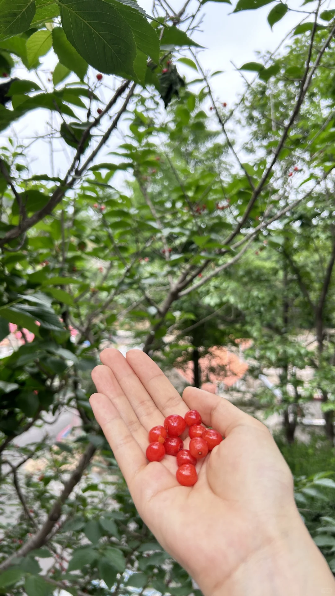 📍小众海滨小城旅游攻略