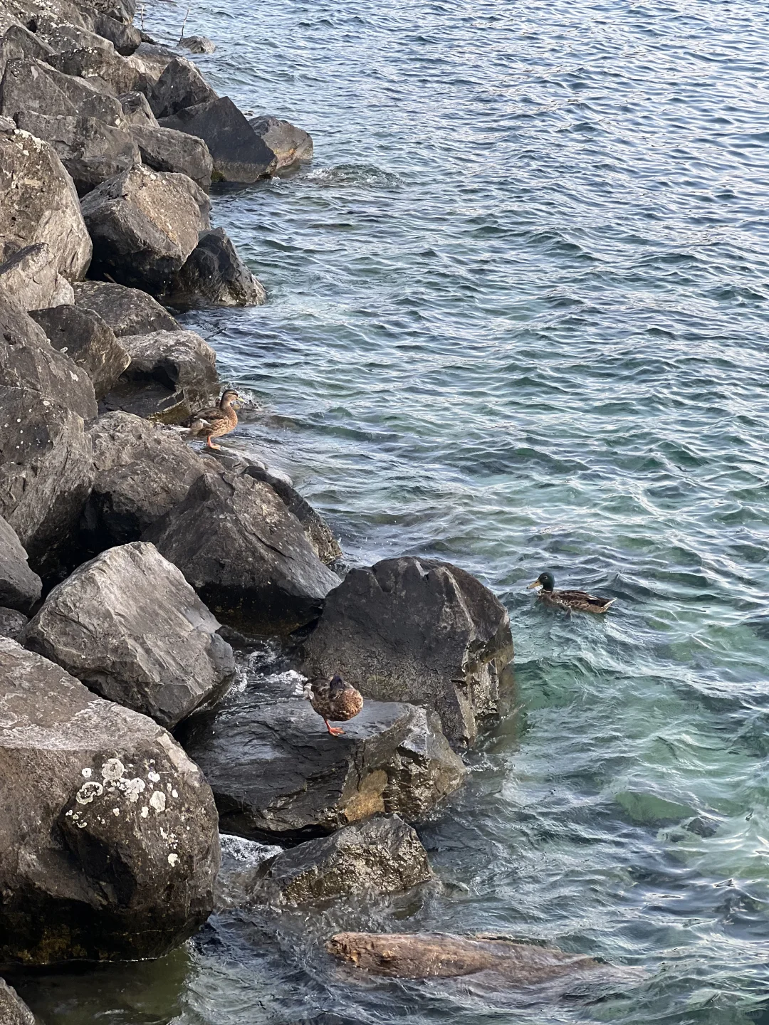 日落前的光最温柔💋