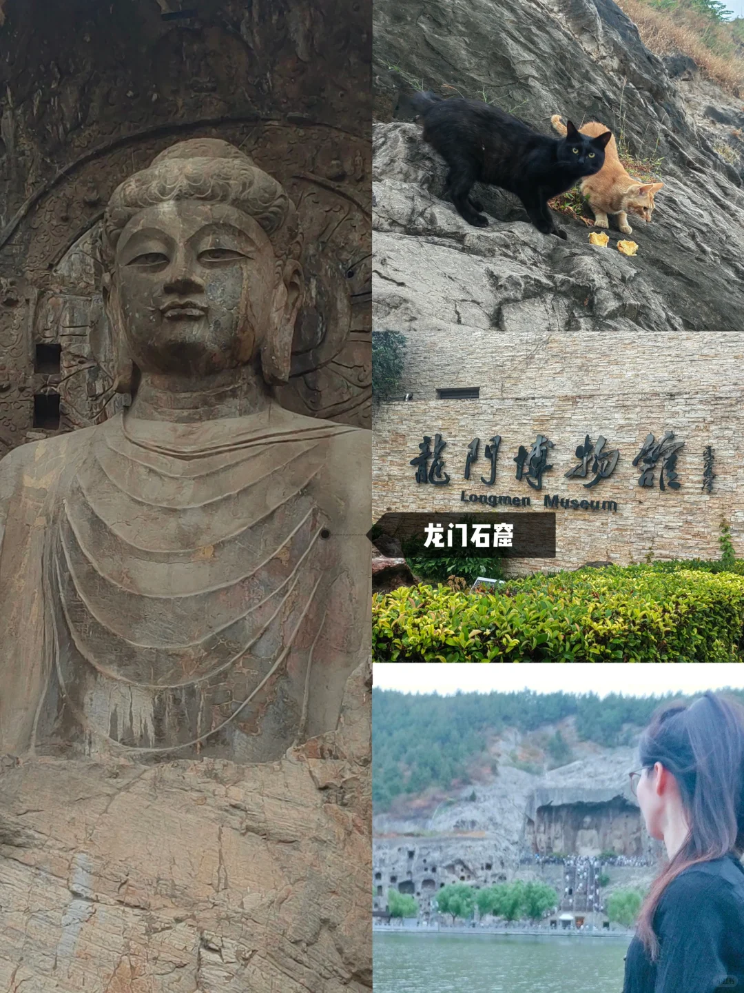 21岁女大学生独自特种兵第一站-洛阳