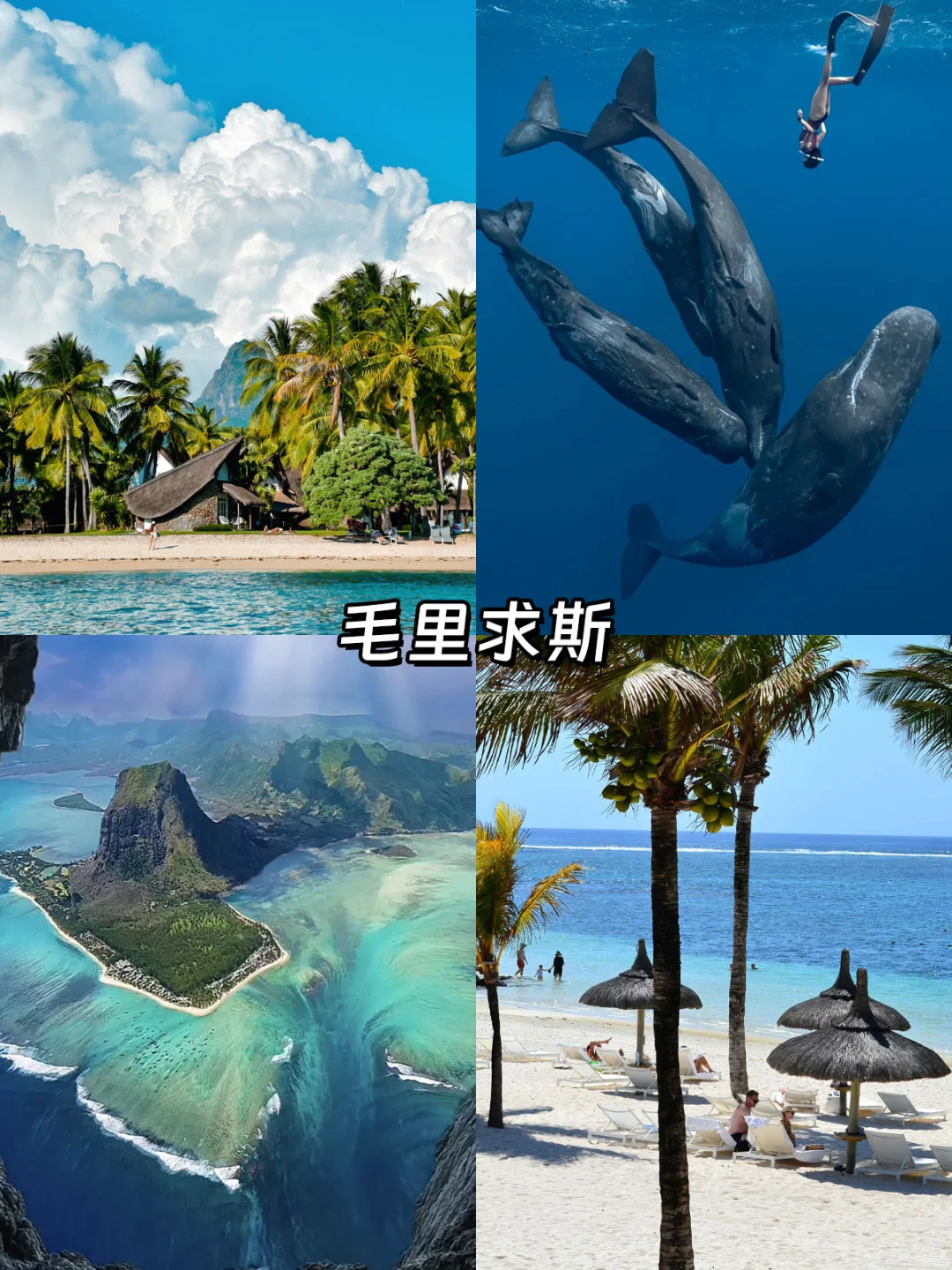 免签海岛Top9🏝️说走就走的海岛清单来啦