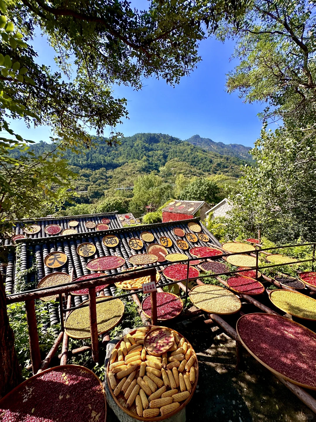 在临沂!在临沂“北方小婺源”