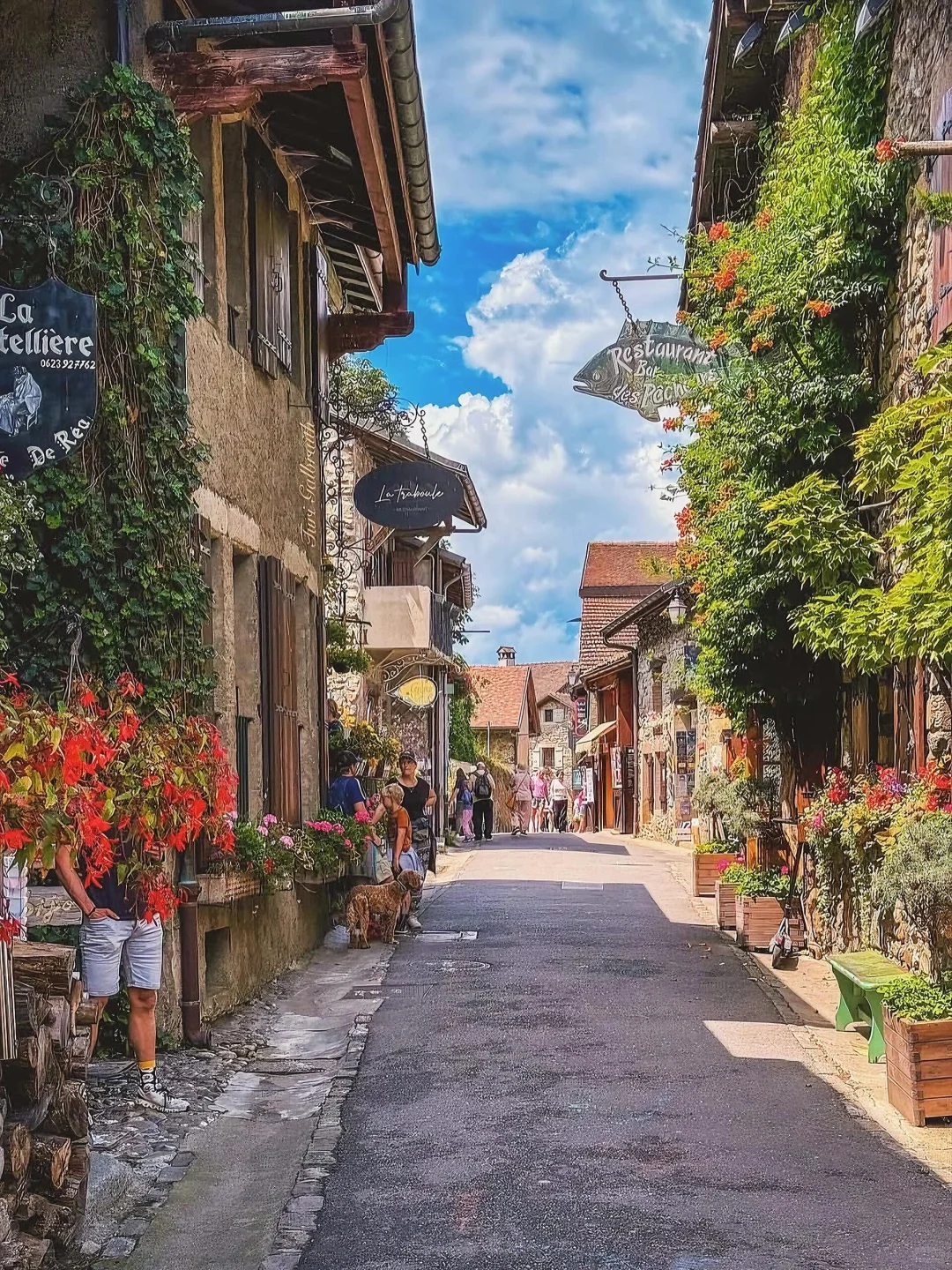 法国人的嘴真严啊💐人少景美的湖畔鲜花小镇