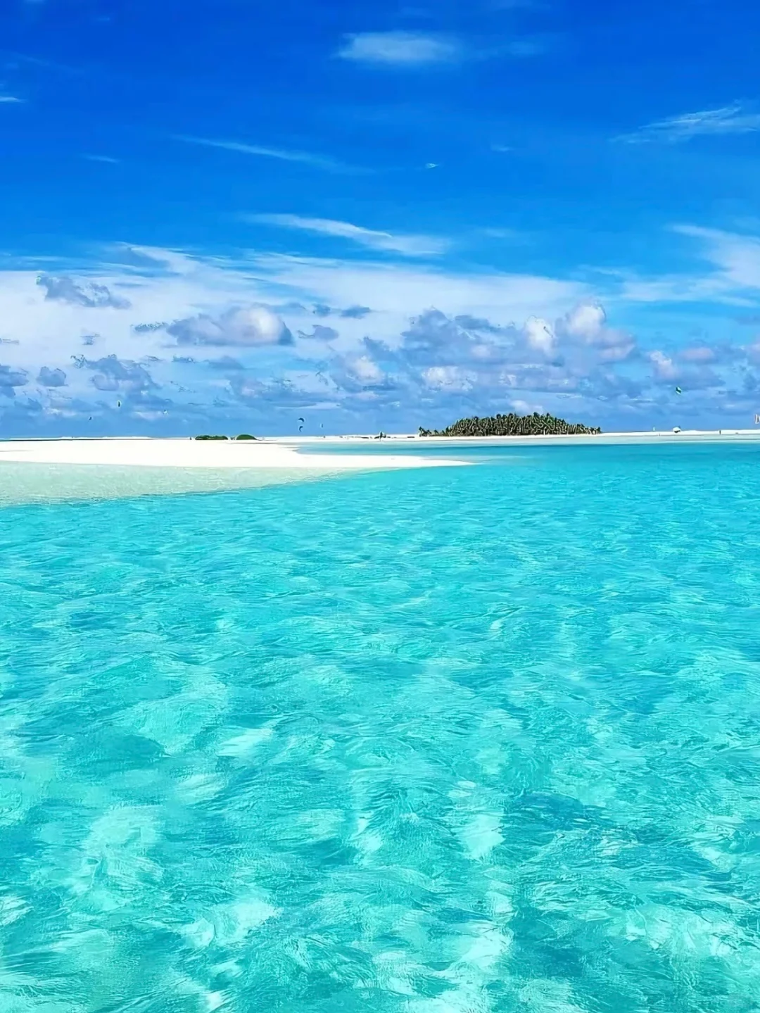 🇳🇿南半球这个免签小国，太适合去旅居了😇