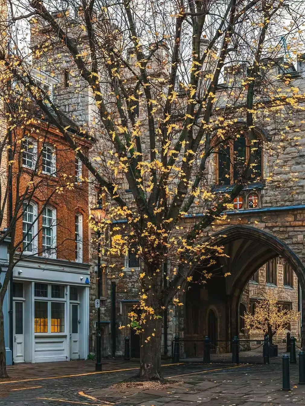 都说英国美在乡下,但伦敦的秋天,意料外惊喜