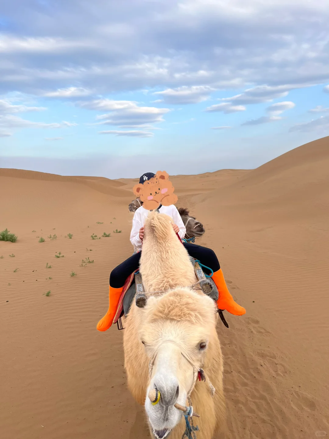 沙坡头景区～沙漠区记录
