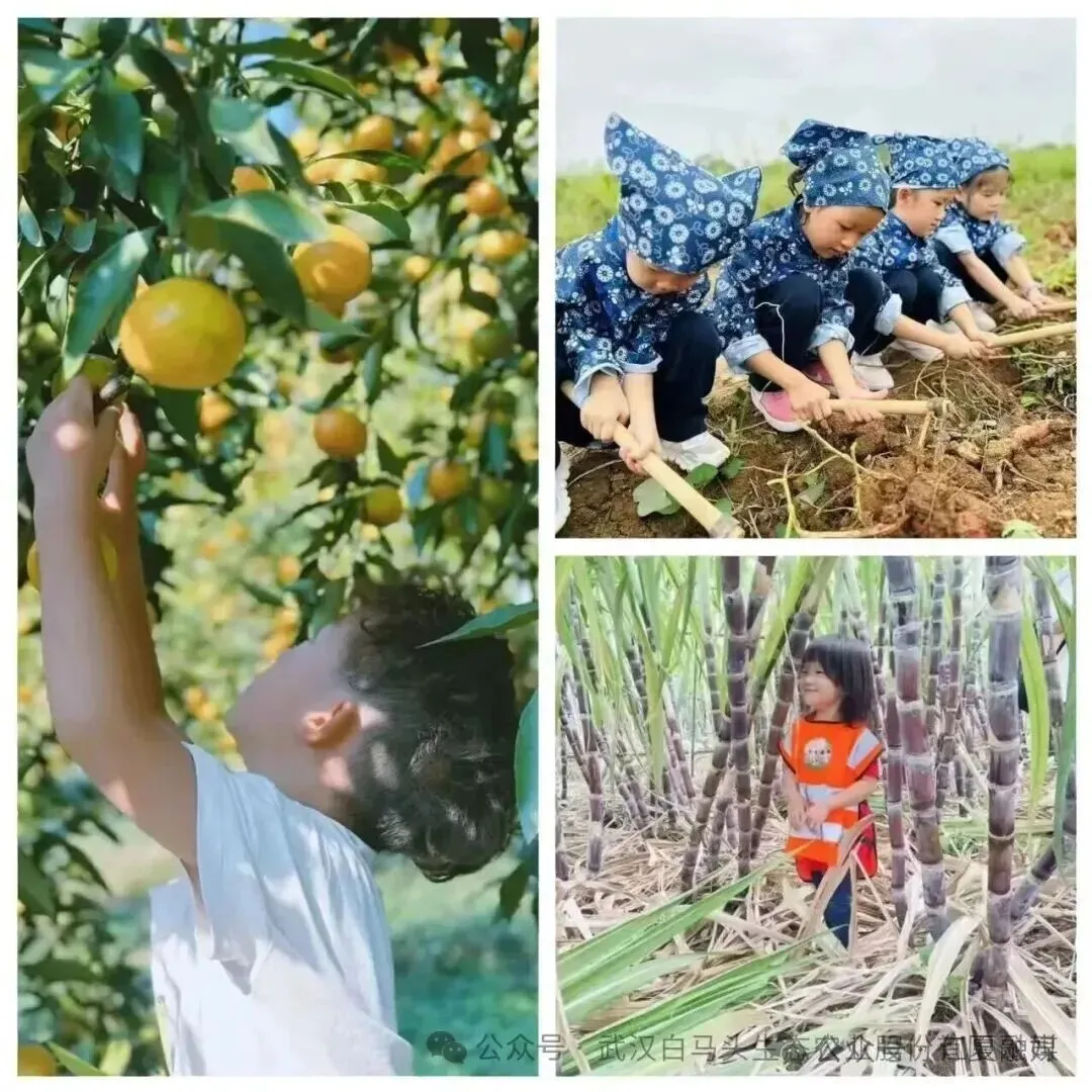 江夏，8天不够玩❗根本不够玩❗ ②