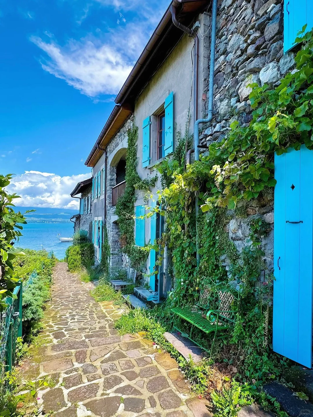 法国人的嘴真严啊💐人少景美的湖畔鲜花小镇