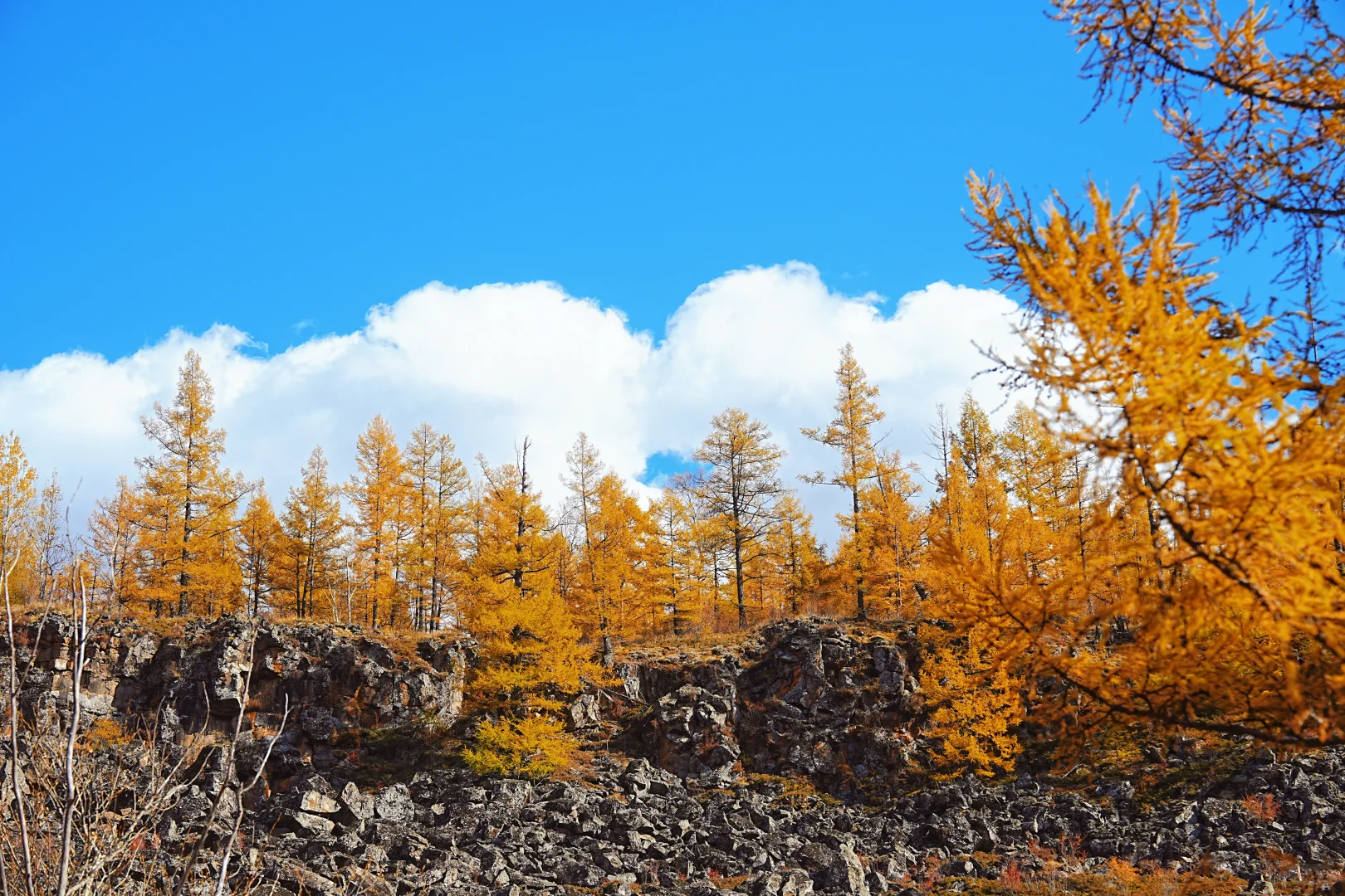 阿尔山付费景区超全攻略，每个景点都有附图