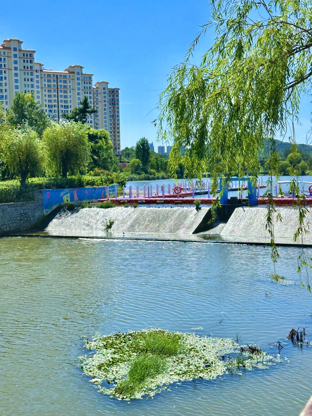 威海初秋一些能量场很足的地方（合集）