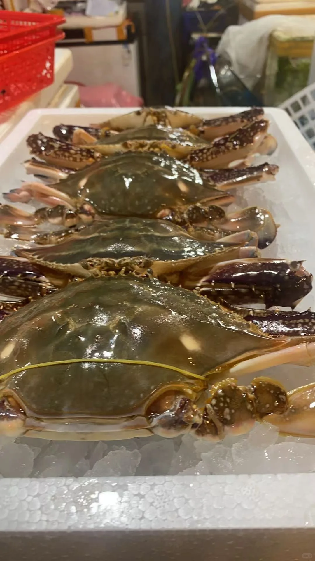 象山旅游 之海鲜伴手礼 就选中心菜场阿明