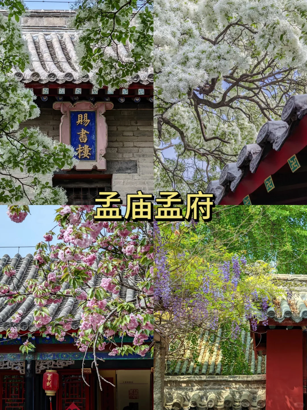 济宁 | 宝藏旅游地，新手看这篇就够啦