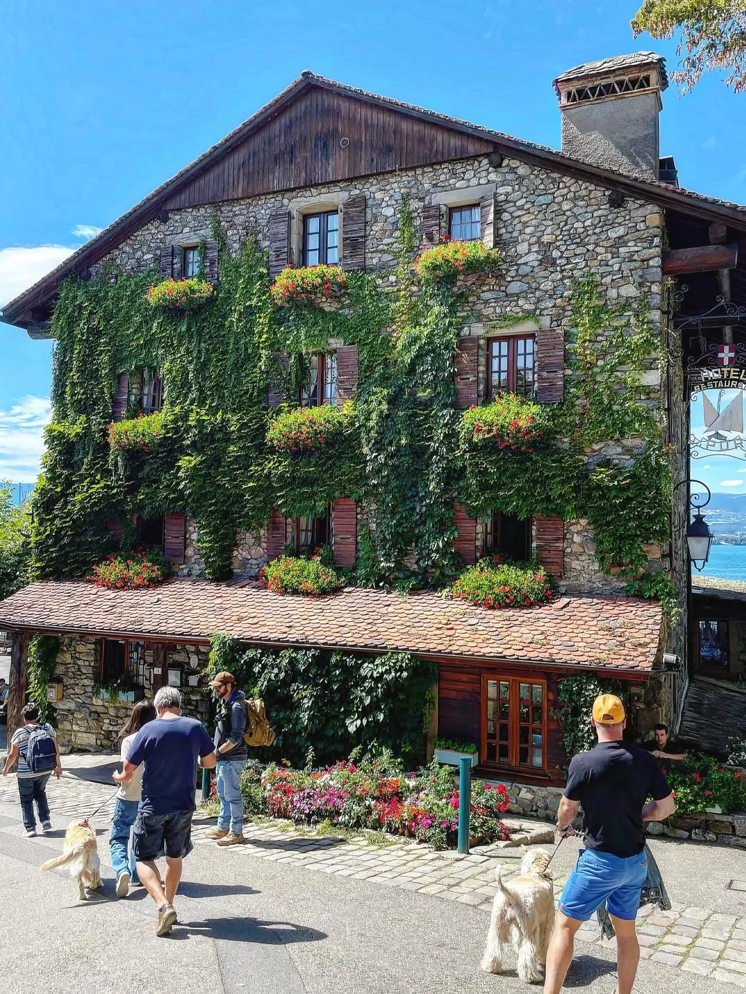 法国人的嘴真严啊💐人少景美的湖畔鲜花小镇