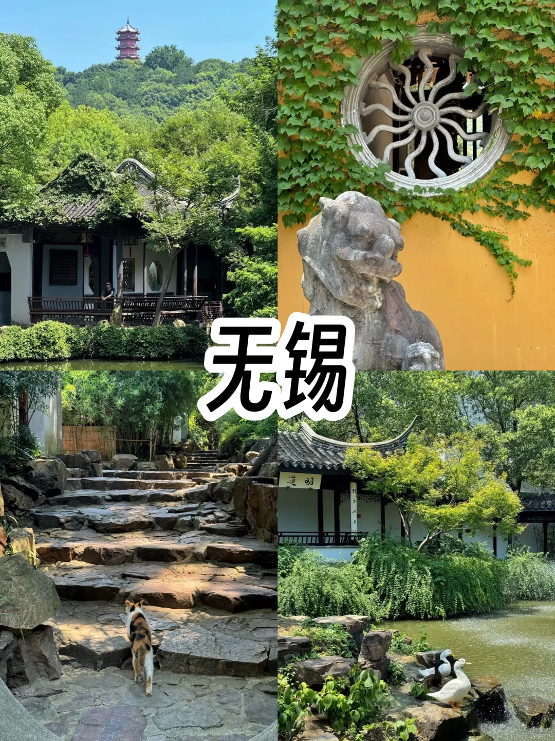 江浙沪12日游‼️128元玩转9座城市旅游攻略