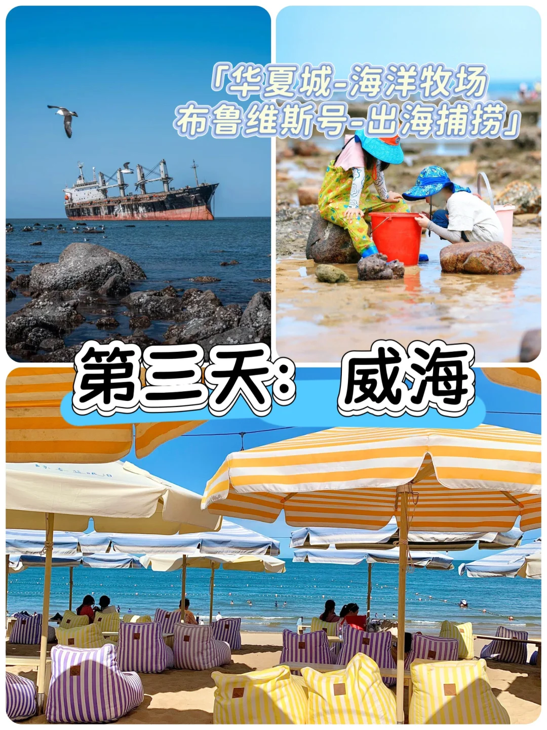 🔥🌊【青岛4天3晚封神！海鲜自由+5A暴击💥】