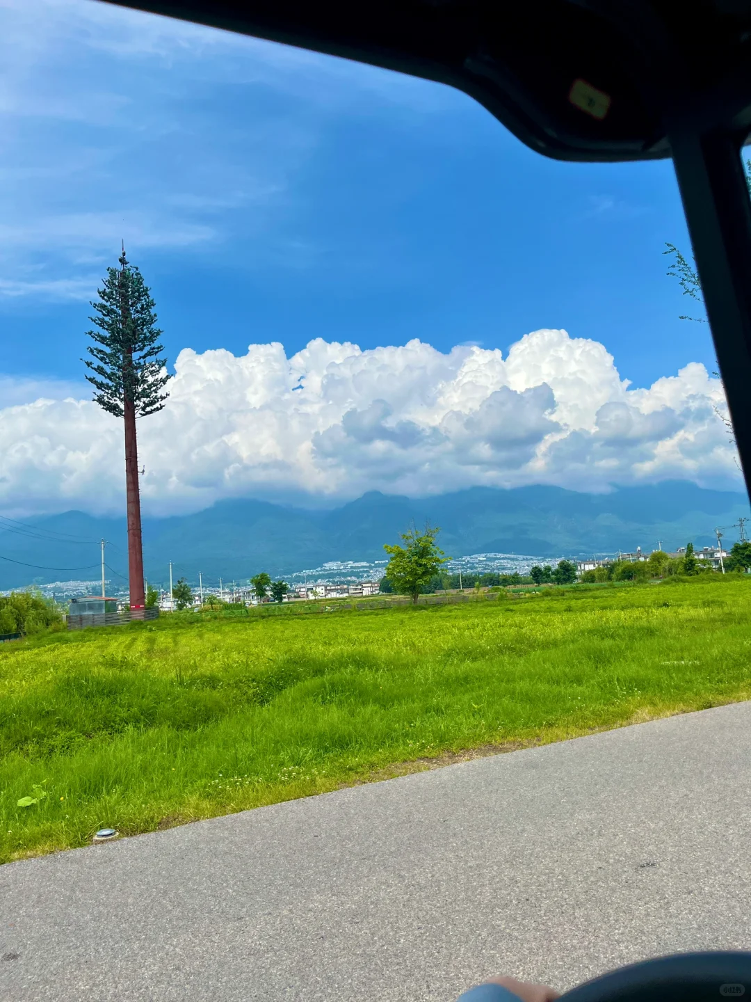 西双版纳vs大理🥰