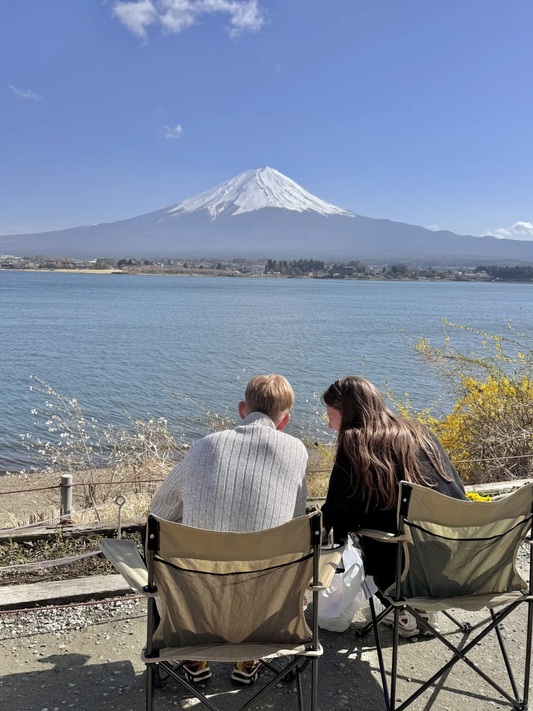 日本｜富士山樱花富豪🌸芦苇荡绝景长崎公园