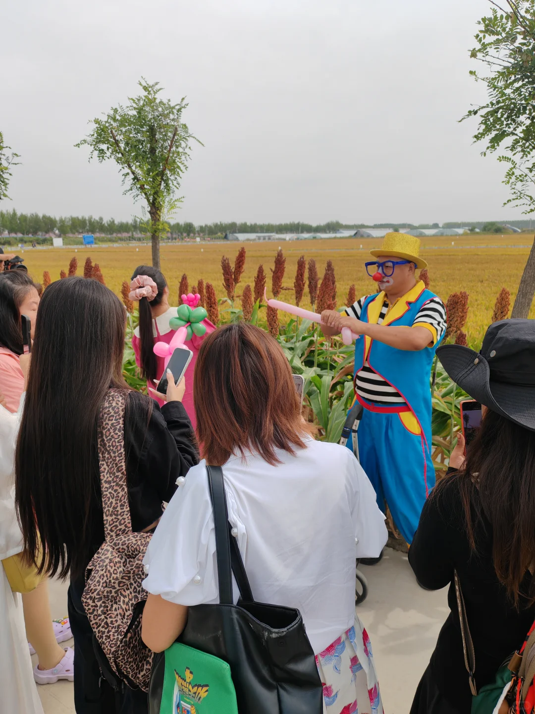 国庆遛娃挖到宝！49.9玩疯稻田农场‼️