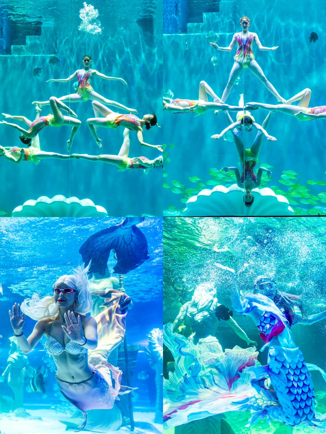 南方小土豆速码！哈尔滨5天冬游嗨玩攻略✨