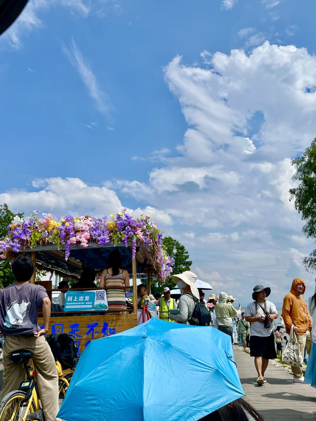 西双版纳vs大理🥰