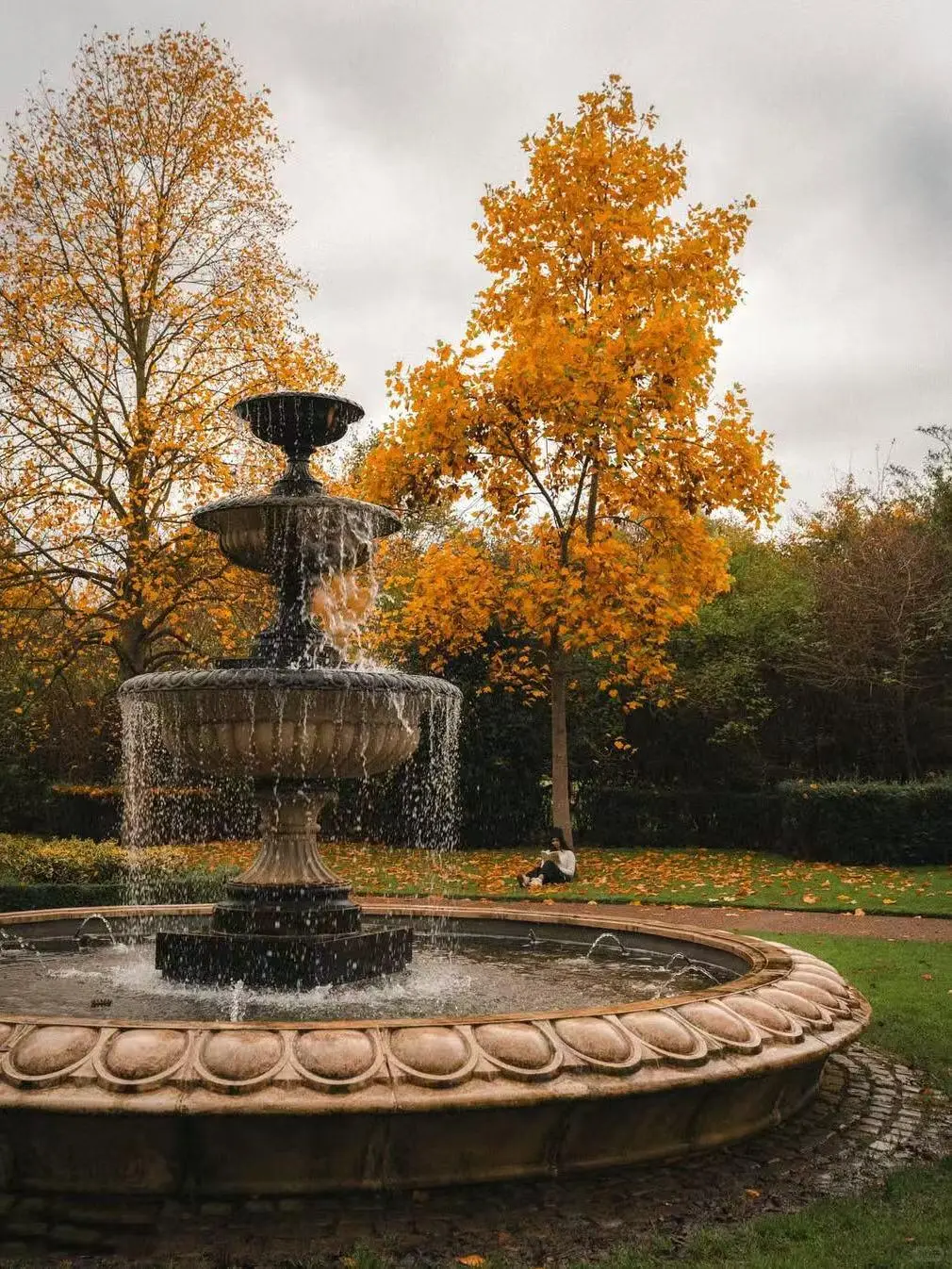 都说英国美在乡下,但伦敦的秋天,意料外惊喜