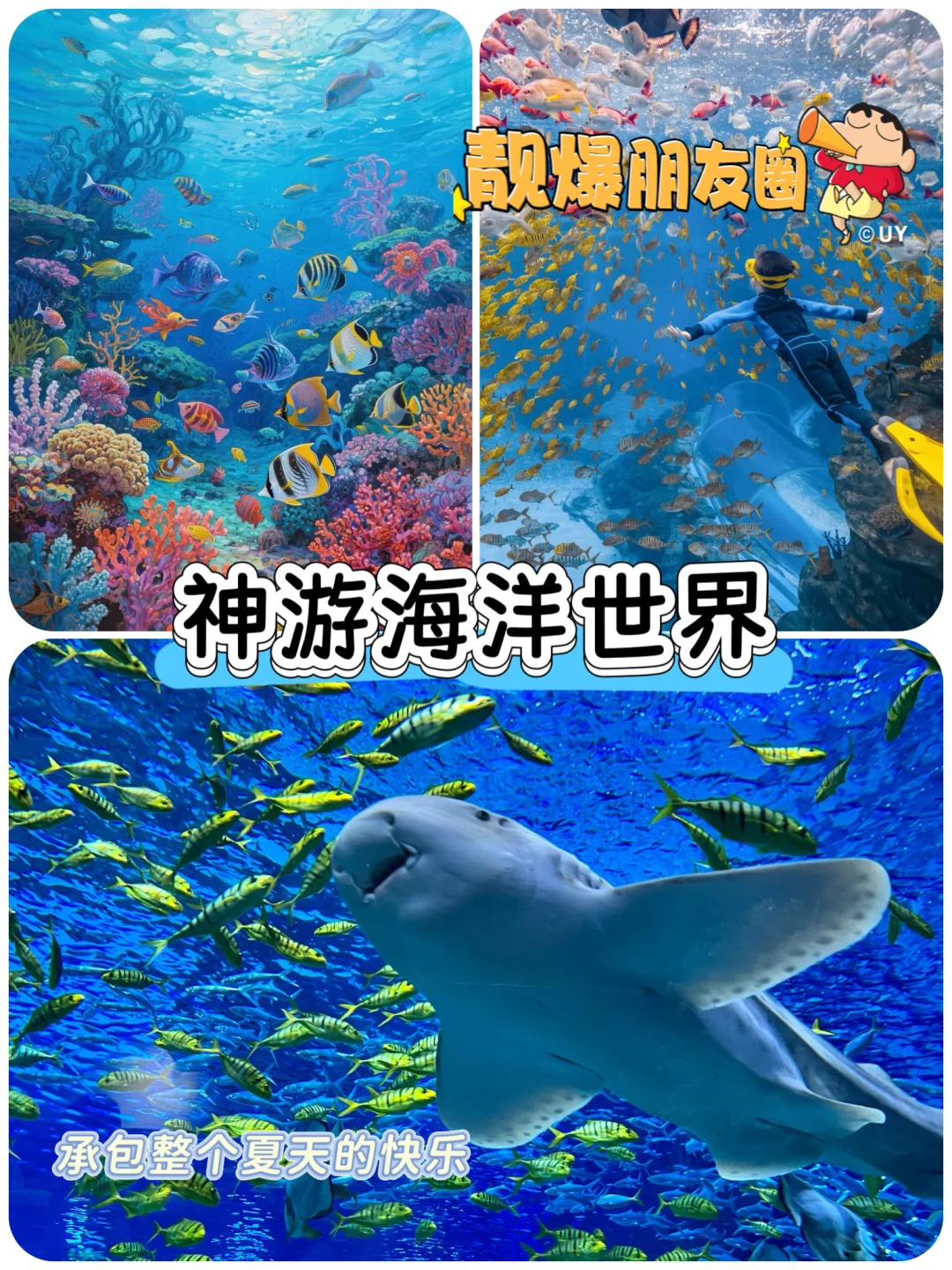 🔥🌊【青岛4天3晚封神！海鲜自由+5A暴击💥】