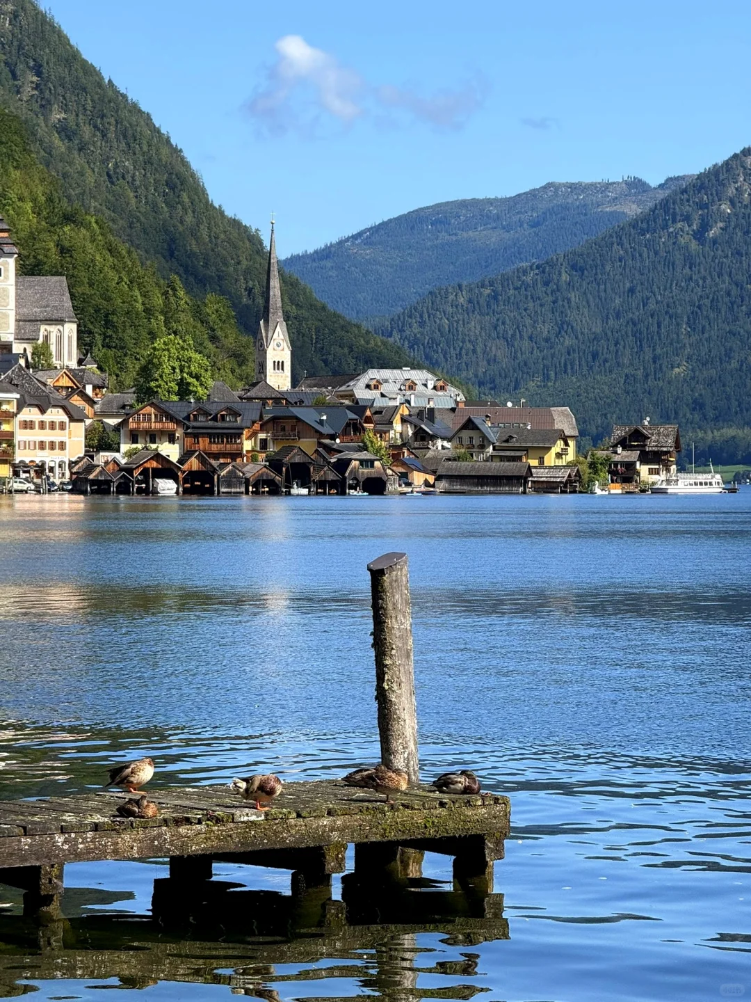 玩转音乐之国奥地利，附旅游攻略🇦🇹