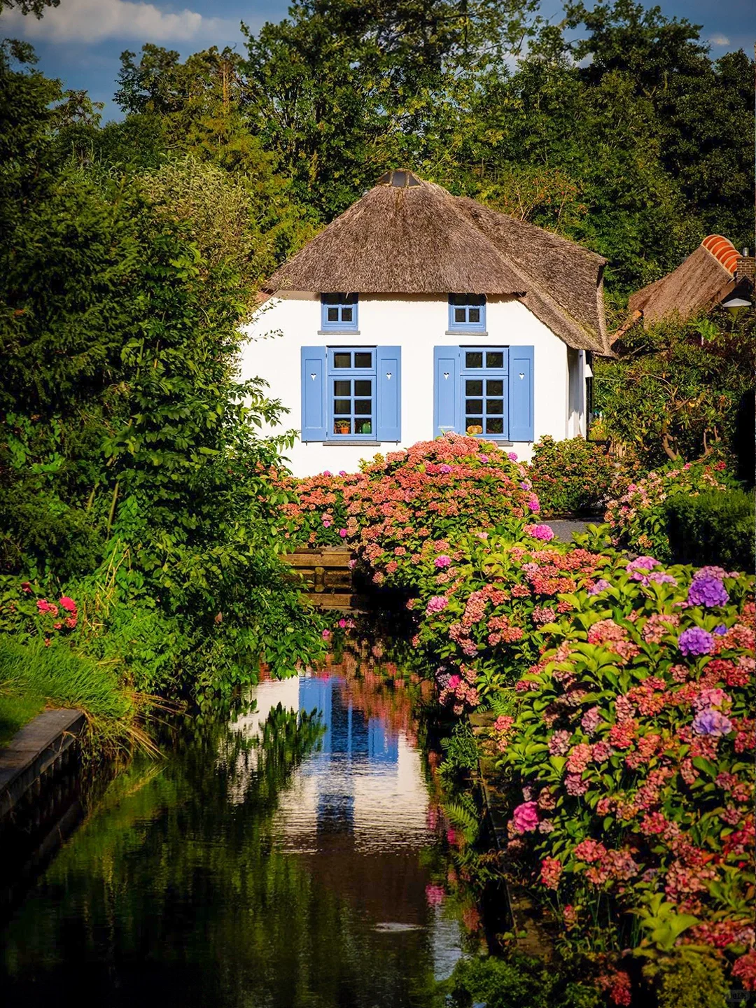 住进上帝的水彩画里🎨荷兰的童话小镇没白来